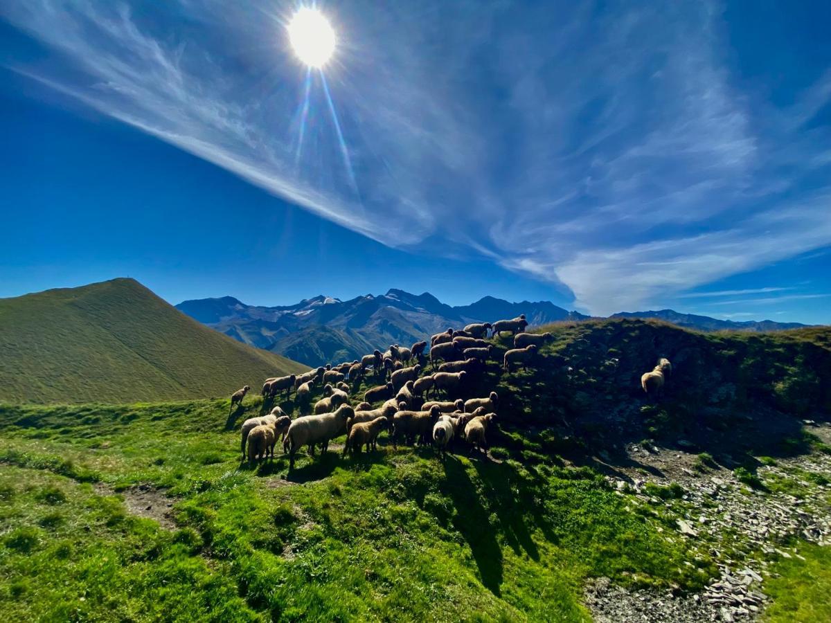 Chalet Urscheler Oberleite Eksteriør bilde